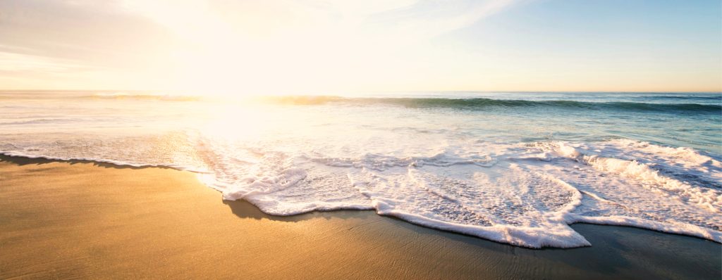 多様なコミュニケーションを通して、言葉だけでなく心と身体もたくましく育てるラボかわばたパーティ